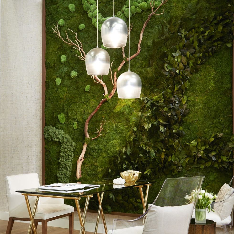 Living Walls: The Complete Planning & Installation Guide 2026